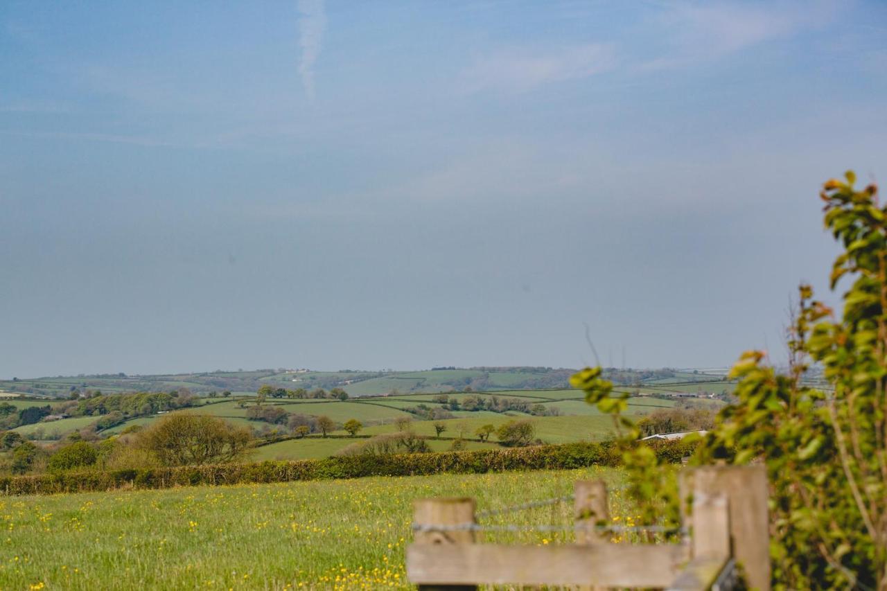 Maes Y Mel- A Couples, Pet Friendly, Rural Romantic Getaway With Countryside Views Gellywen Экстерьер фото