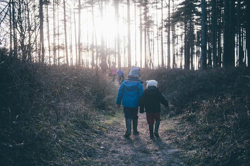 Maes Y Mel- A Couples, Pet Friendly, Rural Romantic Getaway With Countryside Views Gellywen Экстерьер фото